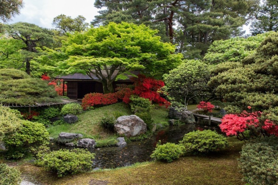Садово-Парковое искусство Японии сад мхов
