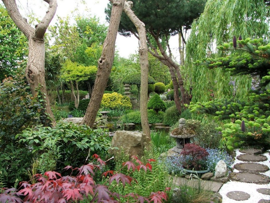 Сад в Восточном стиле на даче