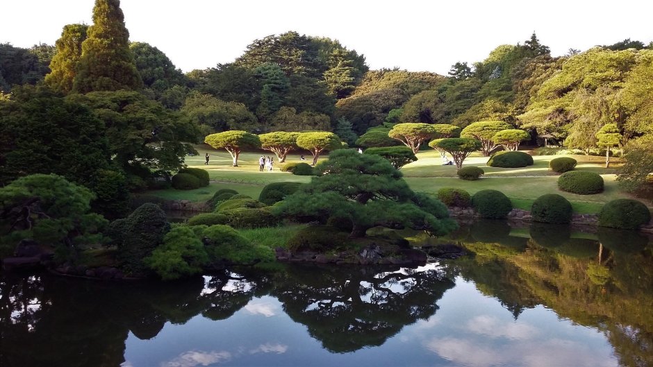 Токио Императорский дворец и сад