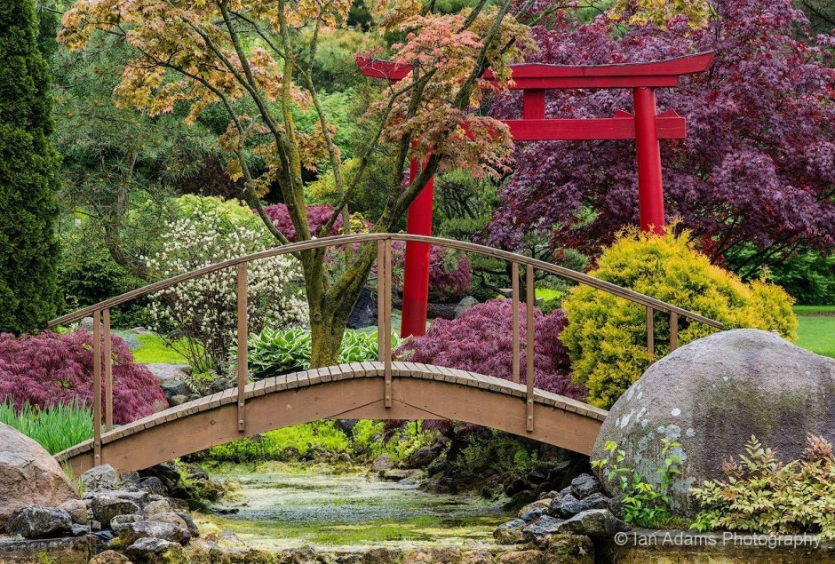 Японский сад галцикй