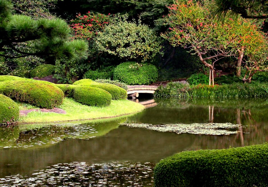 Императорский сад Токио Япония