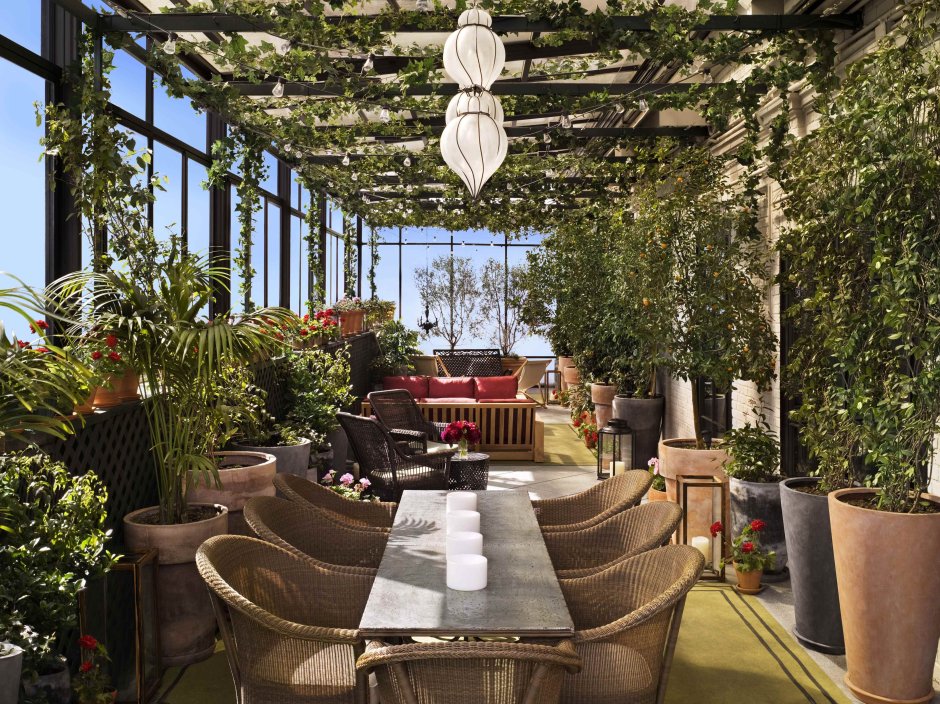 Кафе Orangery в Америке
