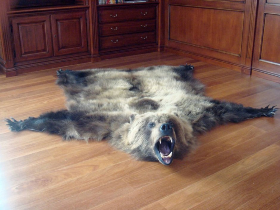 Коврик из медведя в доме охотника