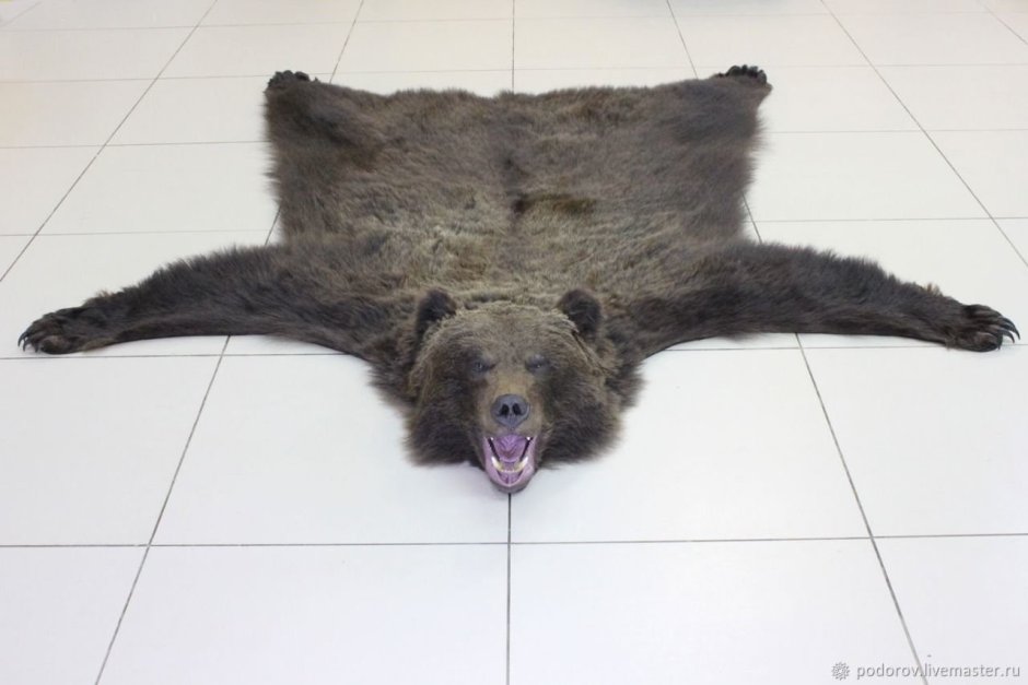 Искусственная шкура медведя