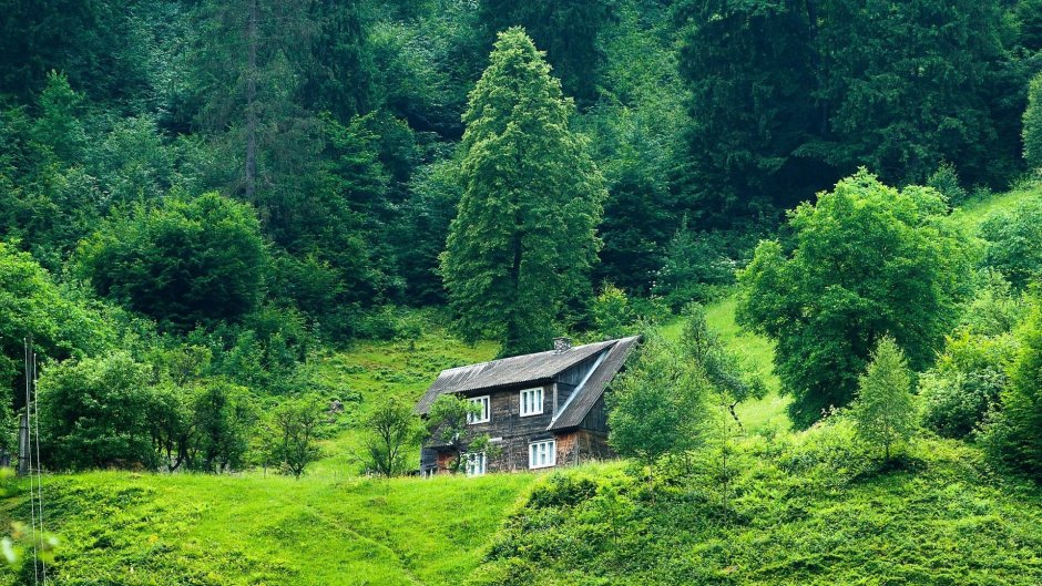Красивый домик в лесу лето