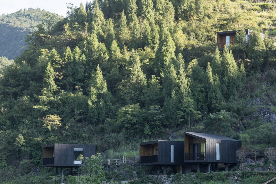 Laurian Ghinitoiu Woodhouse