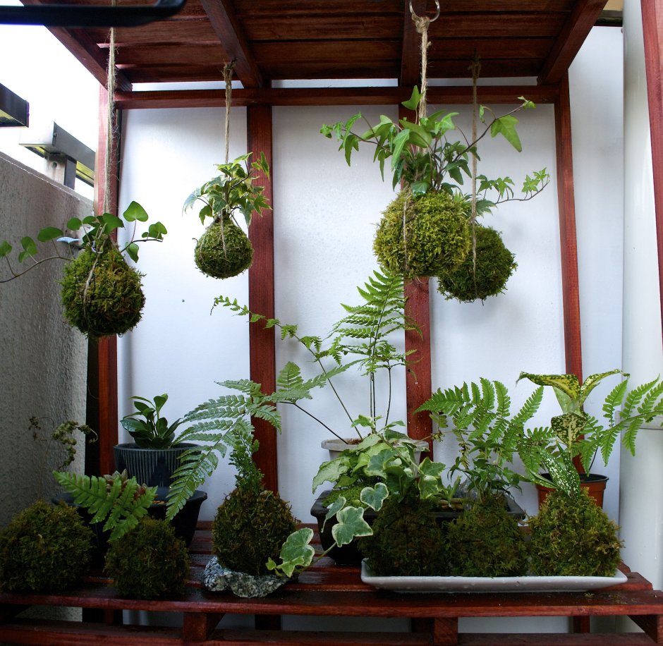Japanese balcon