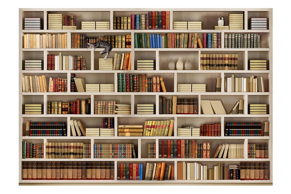 Книжные полки
