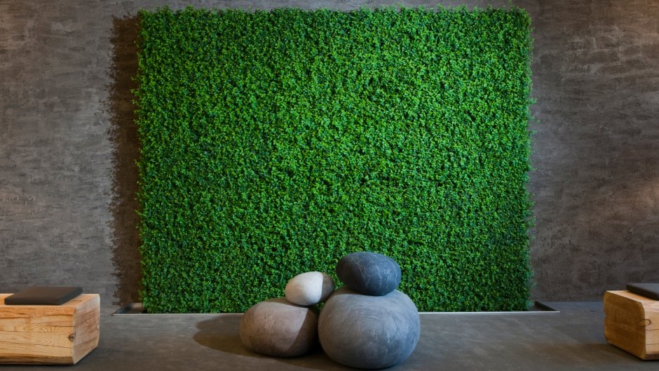 Moss Green / мох стабилизированный