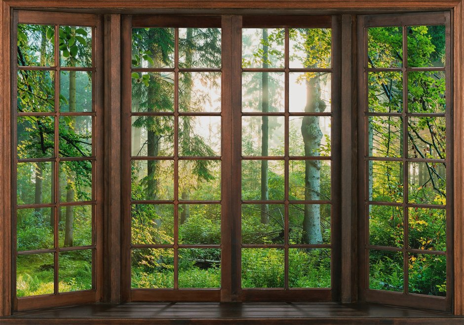 Окно из прозрачного дерева