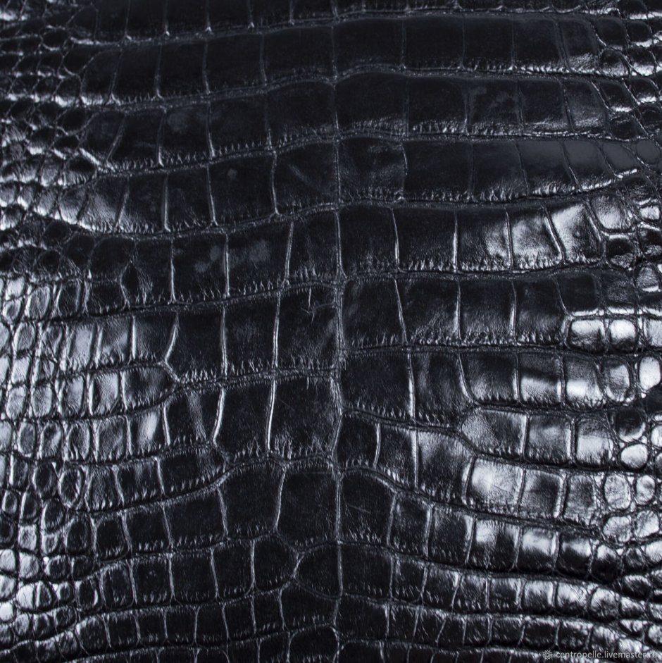 Крокодил черного цвета