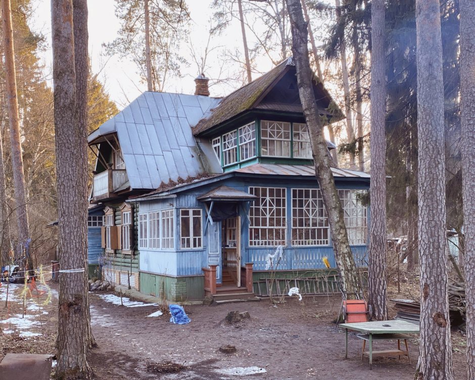 Федор Савинцев Кратовские дачи