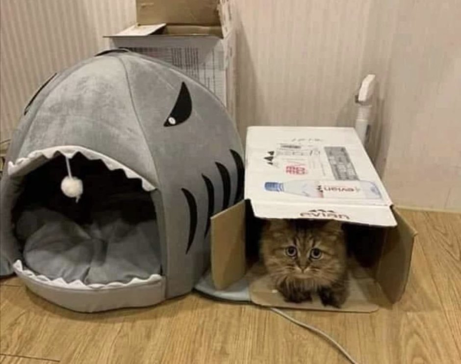 Домик для кота в виде акулы