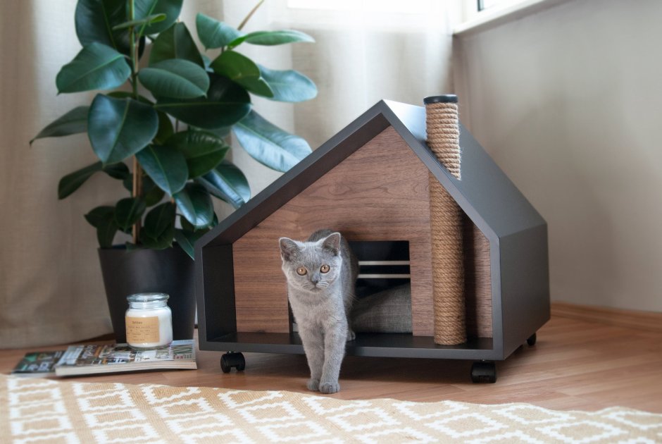 Дом для котика