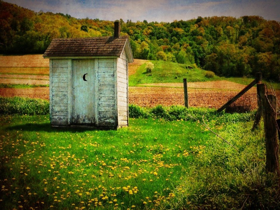 Деревенский туалет в поле