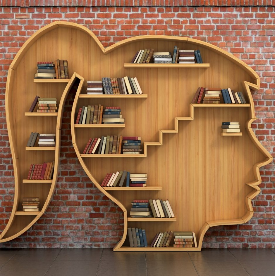 Необычные полки для книжных выставок