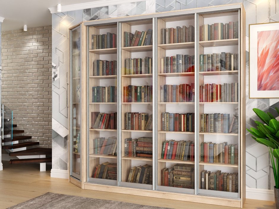 Книжный шкаф купе Дижон 1 BMS