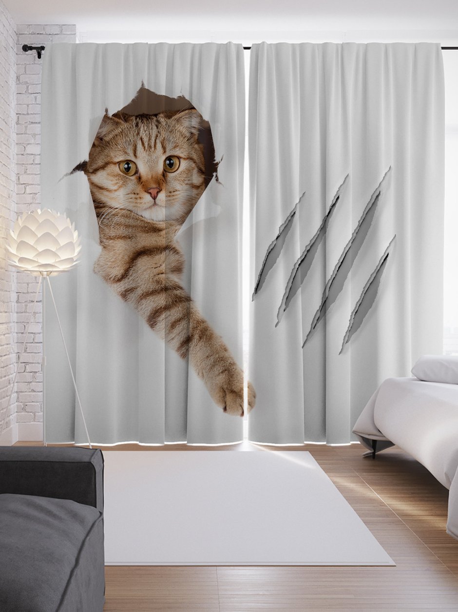 Кот на шторе