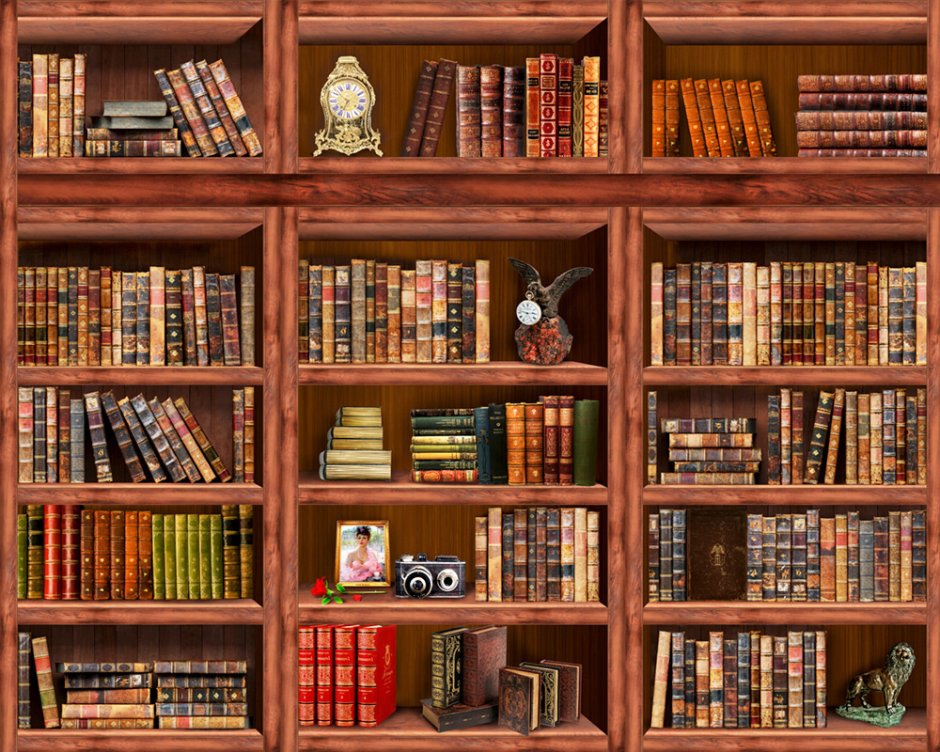 Книжные полки