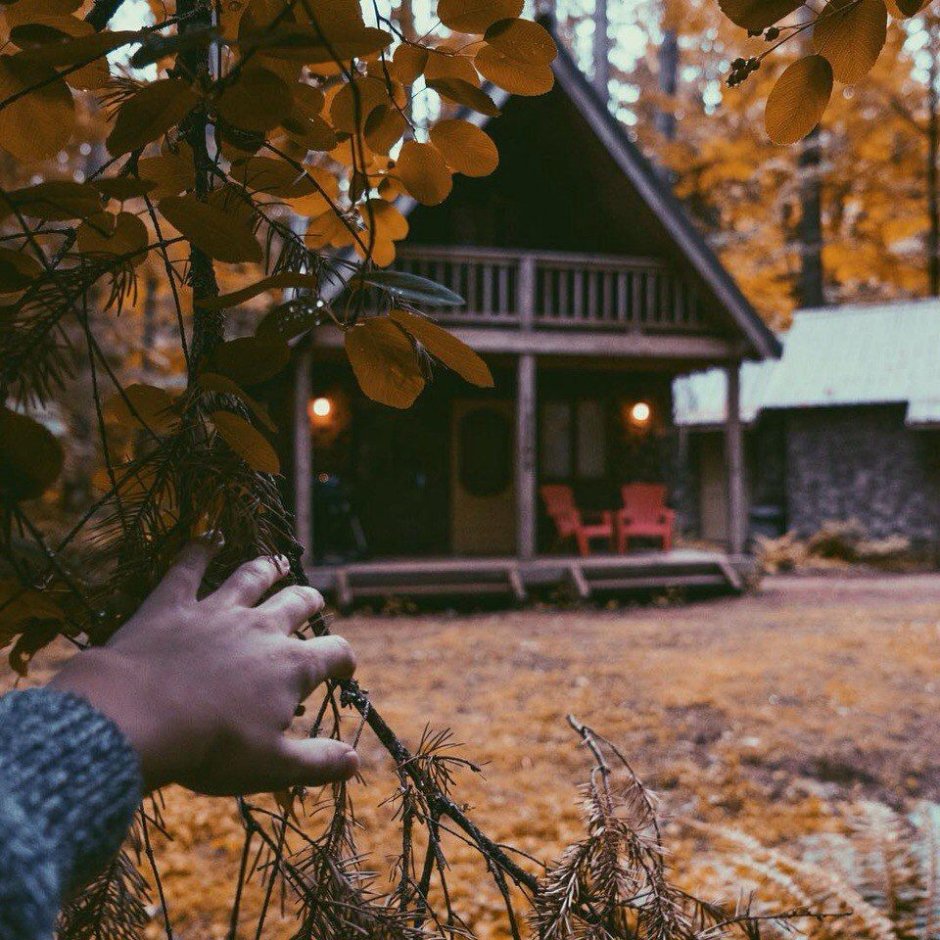 Эстетика загородной жизни