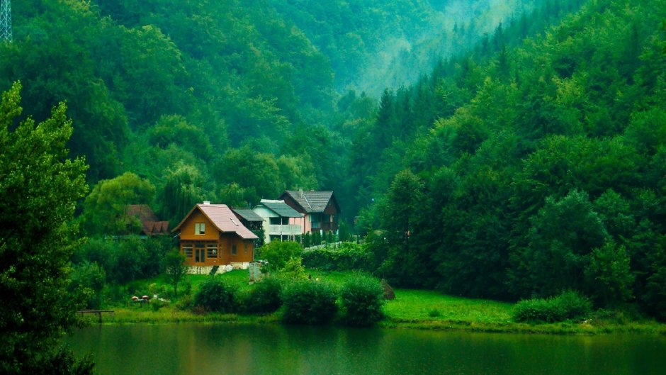 Фахверк Швейцария горы озеро лес