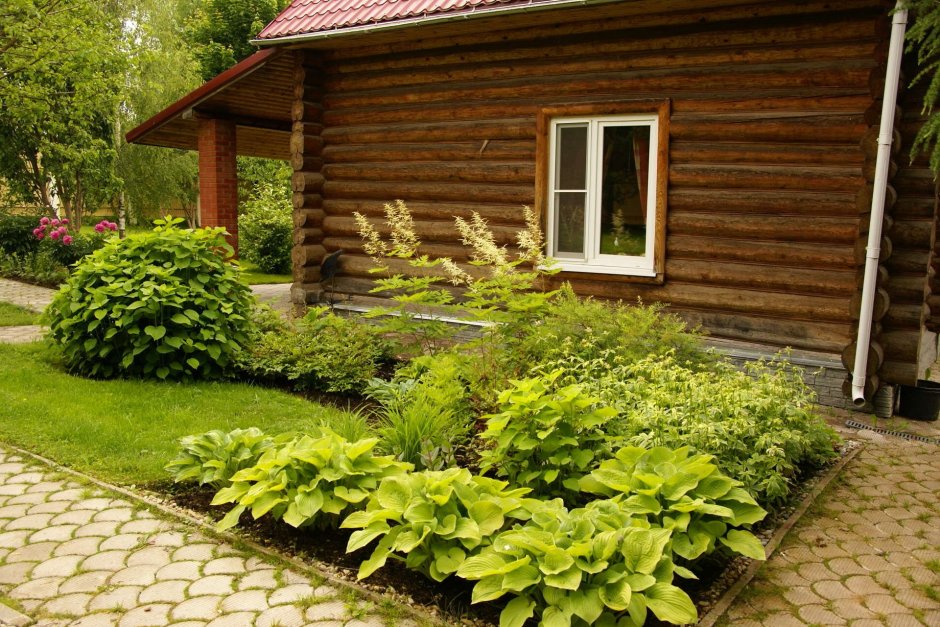 Цветник перед баней