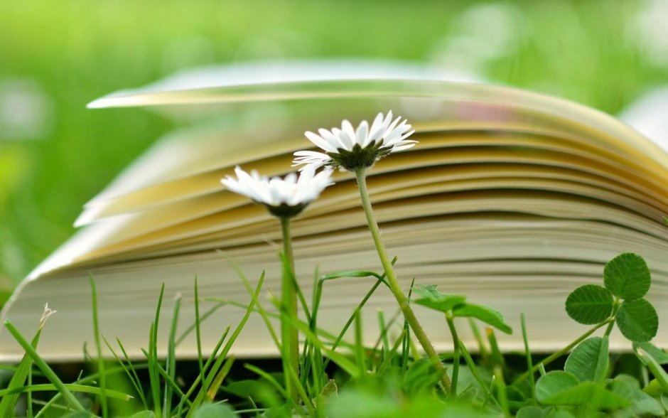 Лето с книгой