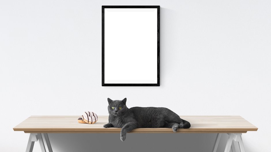 Кошка на фоне интерьера