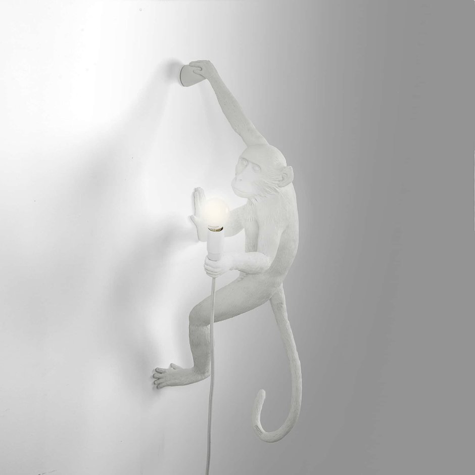 Настенный светильник Seletti Monkey Lamp Hanging right