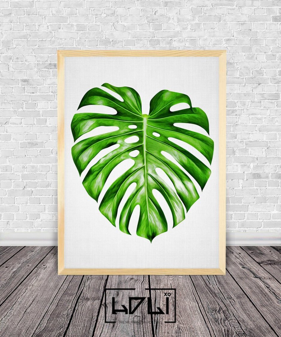 Monstera Leaf Print,