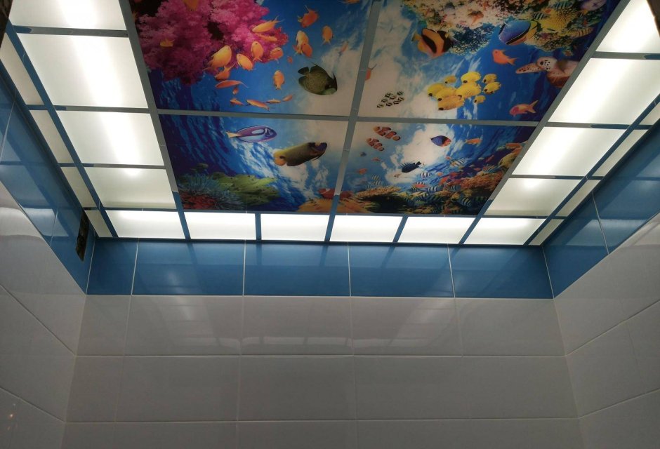 Стеклянные потолки в ванную
