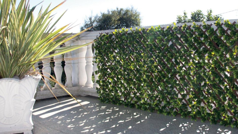 Artificial Hedge арка