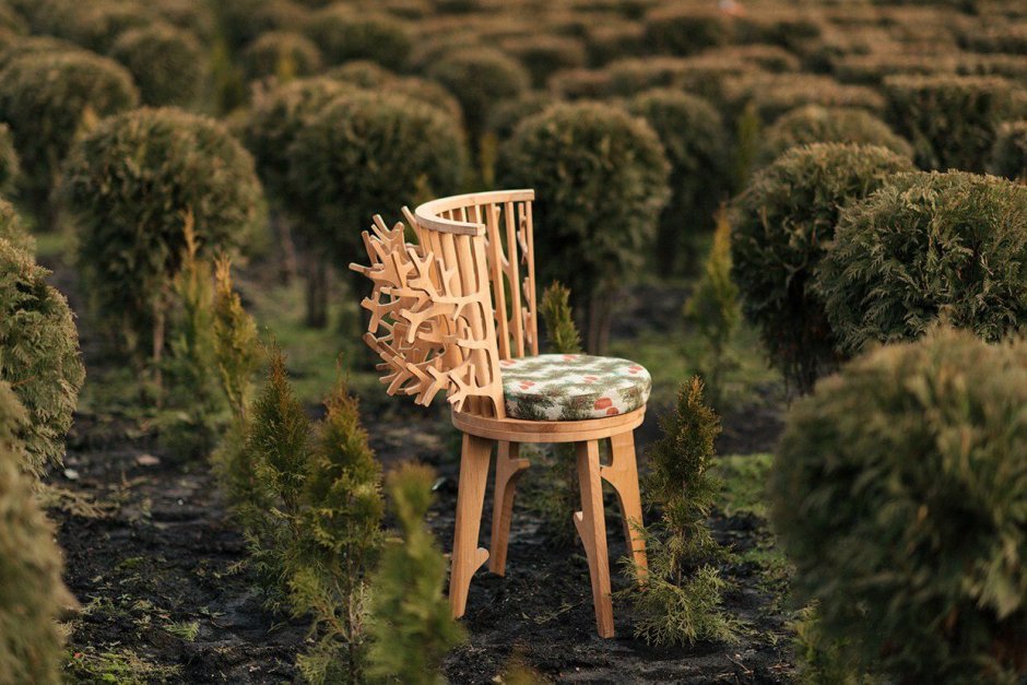 Branch Chair