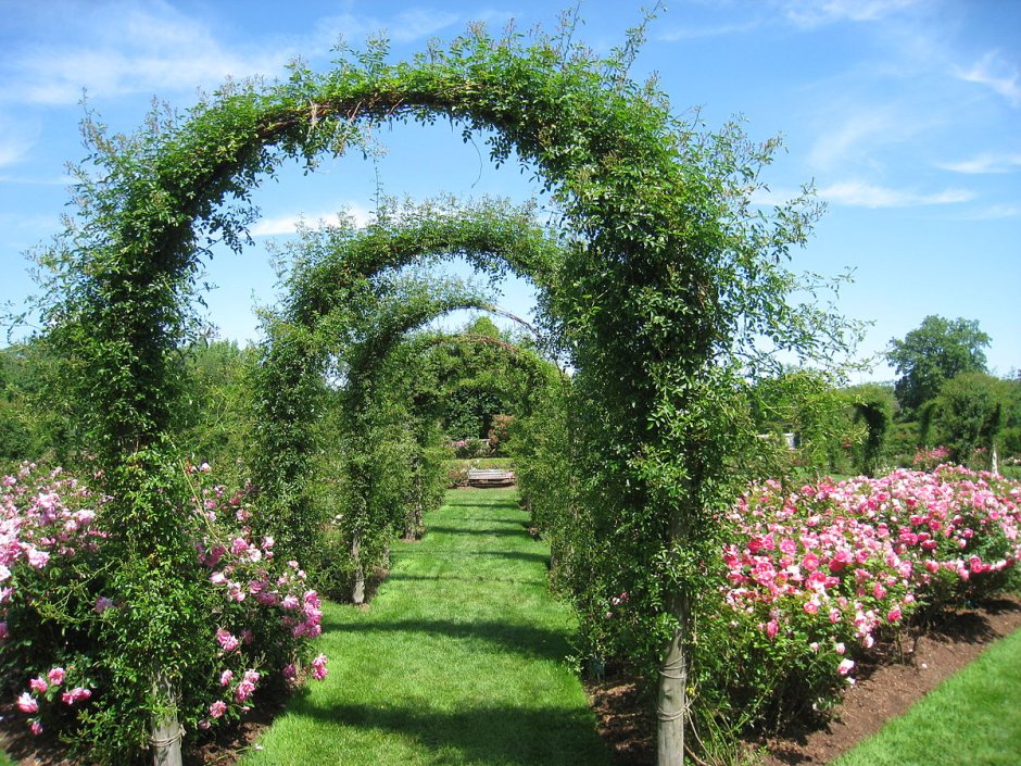 Elizabeth Park Rose Garden, США