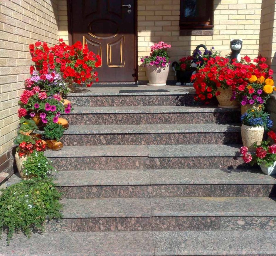 Красивые входные ступеньки
