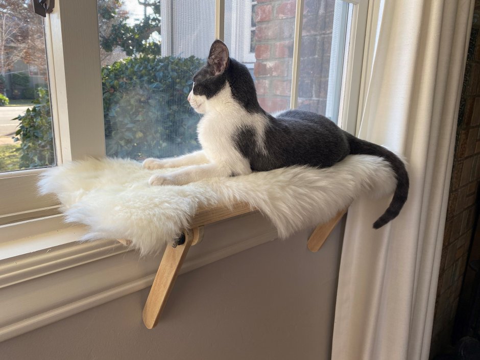 Лежанка для кошки на окно