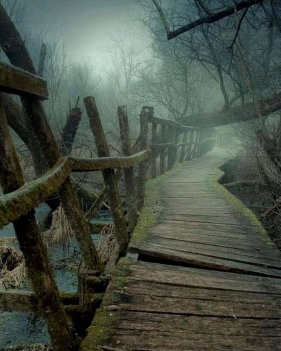 Horror nature photos