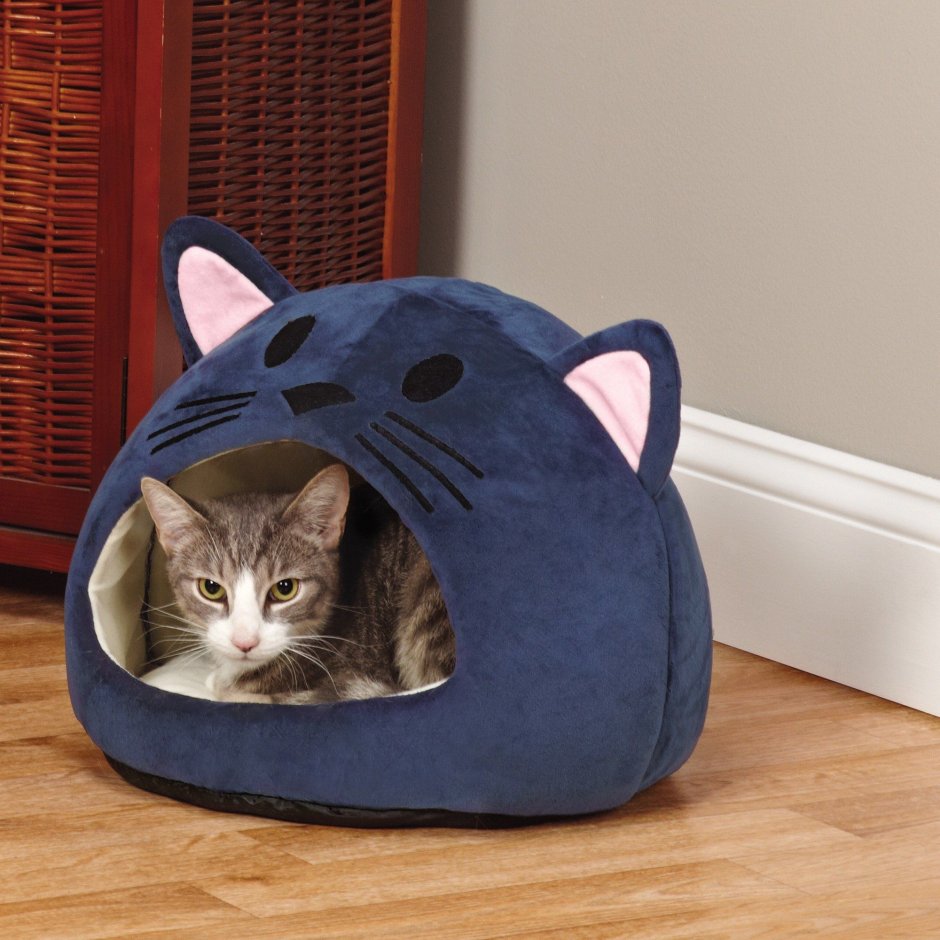 Snooze Kittens Red Galaxy Store