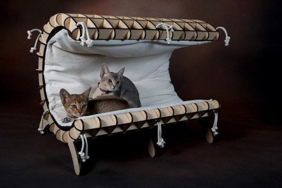 Дизайнерские домики для кошек