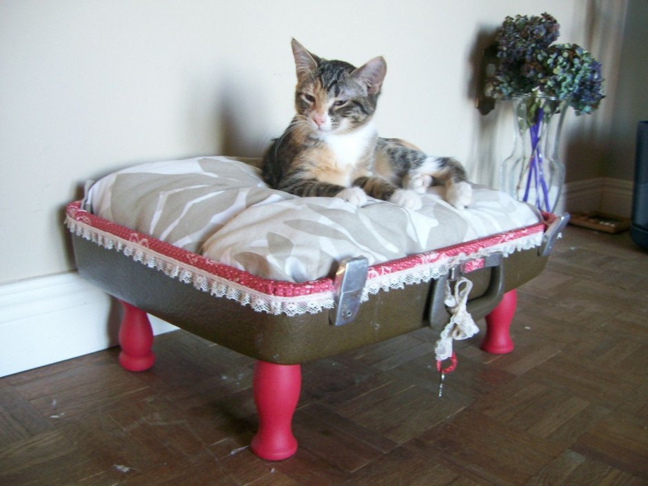 Кроватка для кошек из ящика