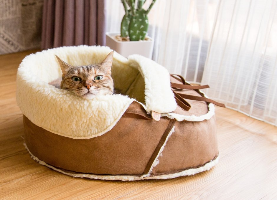 Лежанка для кота