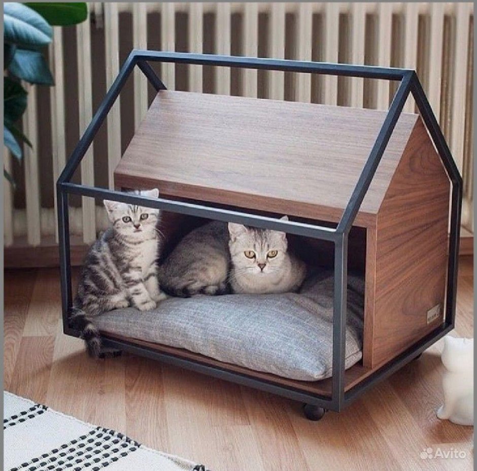 Стильные домики для кошек