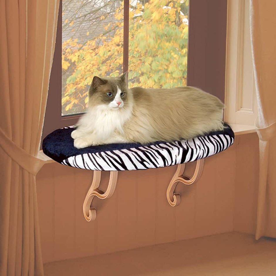 Кошка на подоконнике