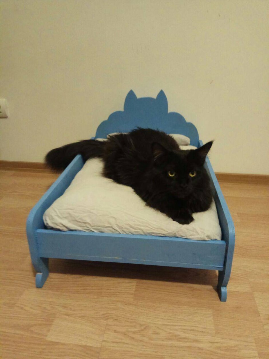 Котик в кровати