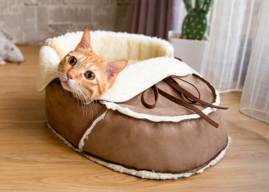 Королевские кровати для кошечек