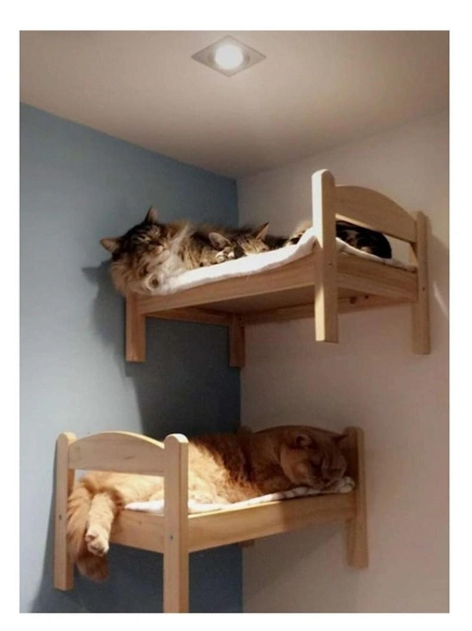 Кровать для кошки икеа