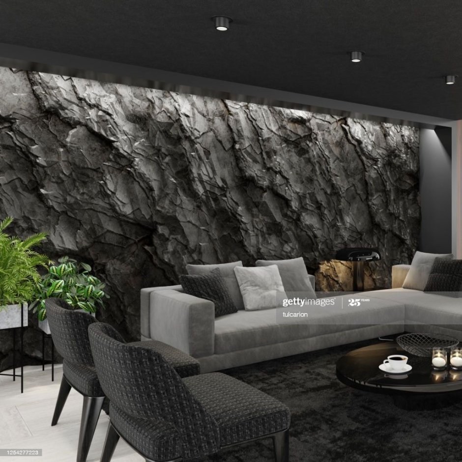 Dark Modern Interior Stone Wall