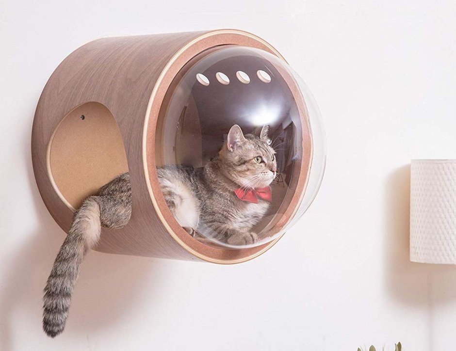 Прозрачный домик для кошки
