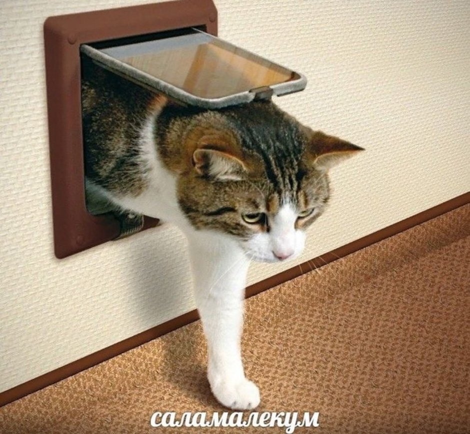 Дверца для кошки Trixie SUREFLAP, 21х21см, коричневая