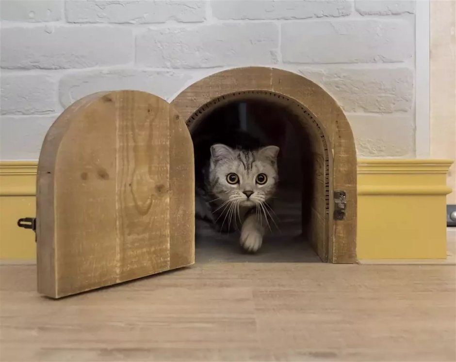 Дверца для кошек
